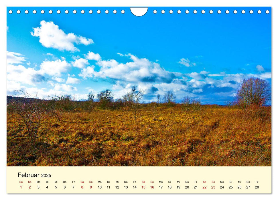 Auf Wanderschaft in Deutschland (CALVENDO Wandkalender 2025)