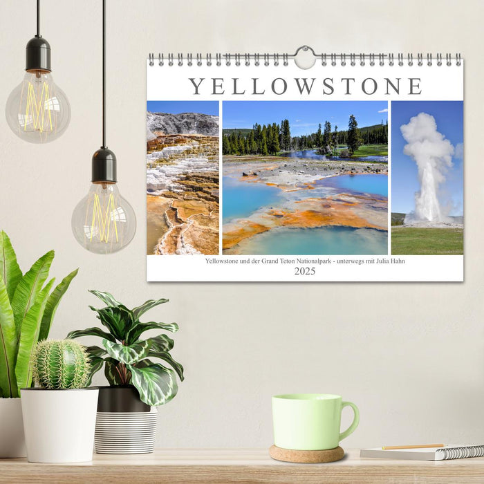 Yellowstone und der Grand Teton Nationalpark - unterwegs mit Julia Hahn (CALVENDO Wandkalender 2025)