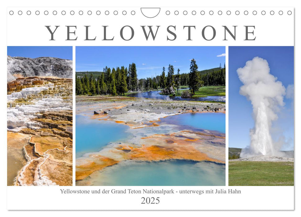 Yellowstone und der Grand Teton Nationalpark - unterwegs mit Julia Hahn (CALVENDO Wandkalender 2025)