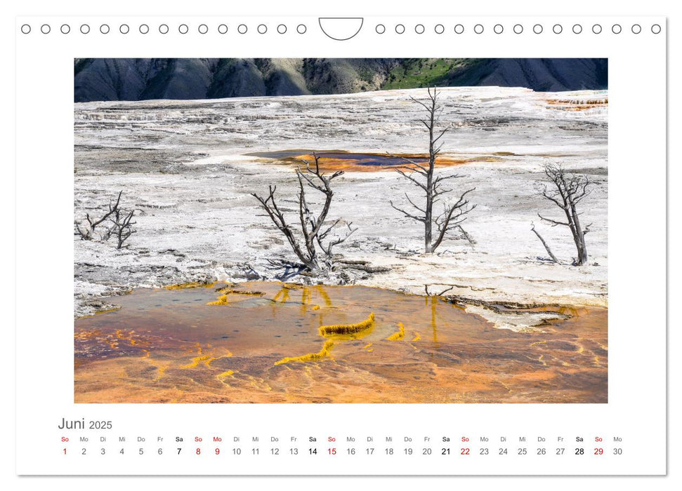 Yellowstone und der Grand Teton Nationalpark - unterwegs mit Julia Hahn (CALVENDO Wandkalender 2025)