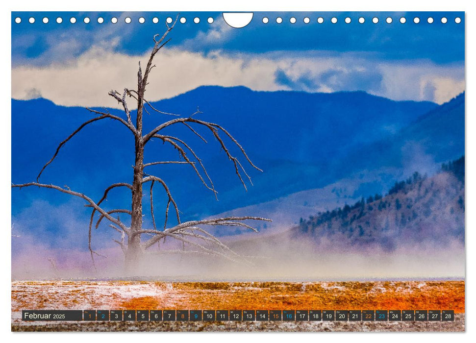 Farbenwunder Yellowstone (CALVENDO Wandkalender 2025)