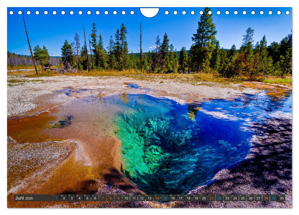 Farbenwunder Yellowstone (CALVENDO Wandkalender 2025)