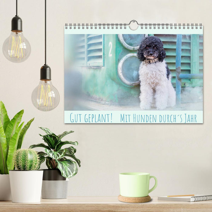 Gut geplant! Mit Hunden durch´s Jahr (CALVENDO Wandkalender 2025)