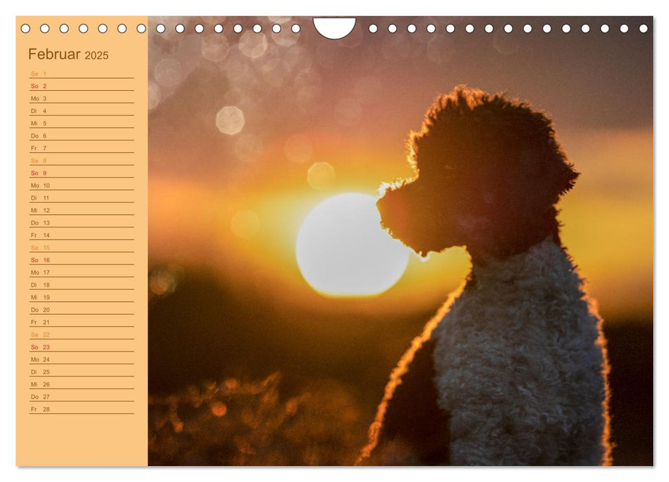 Gut geplant! Mit Hunden durch´s Jahr (CALVENDO Wandkalender 2025)