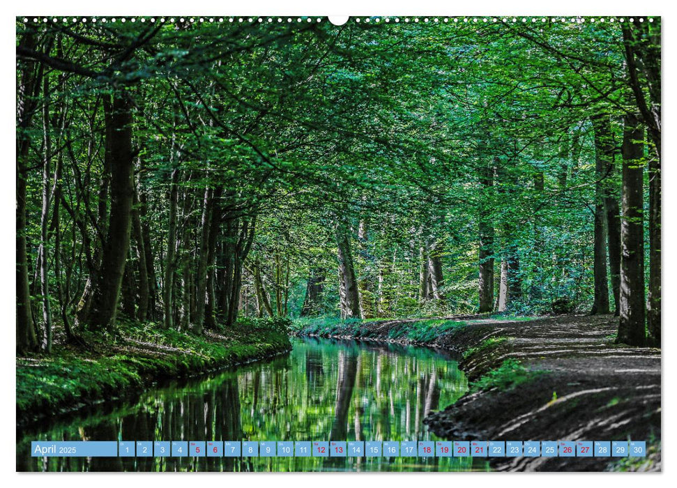 Waldbronn (CALVENDO Wandkalender 2025)