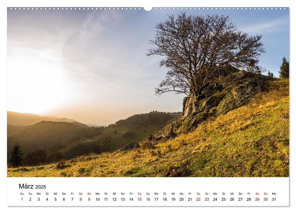 Freiburg, Drumherum (CALVENDO Premium Wandkalender 2025)