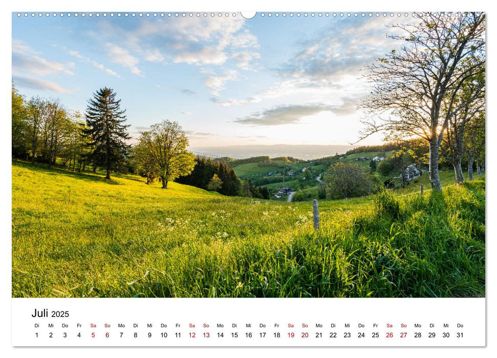 Freiburg, Drumherum (CALVENDO Premium Wandkalender 2025)