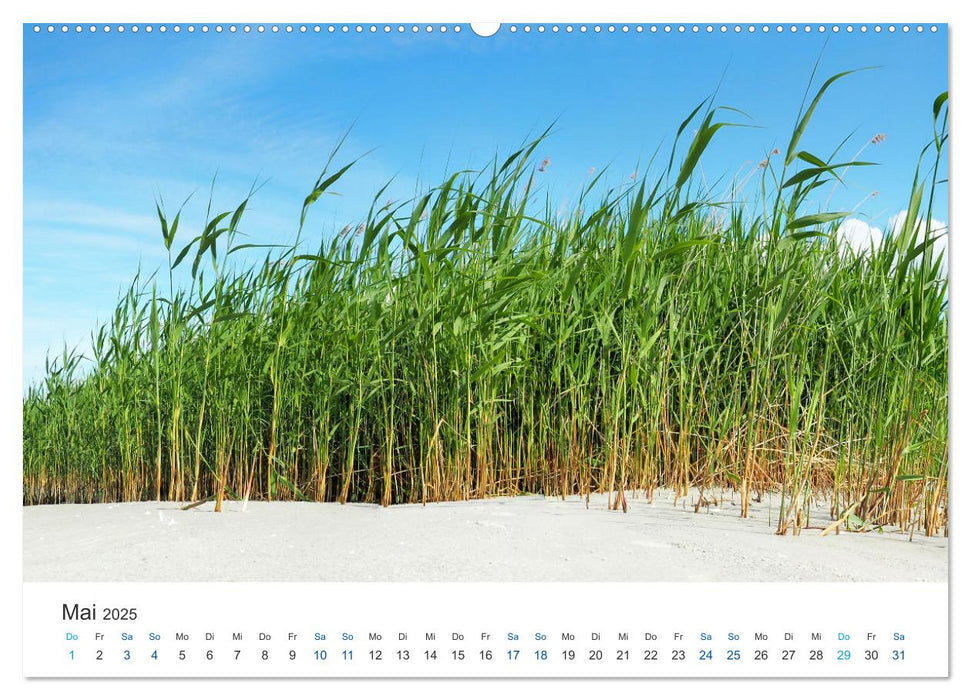 Deutsche Küste - Nordsee und Ostsee (CALVENDO Premium Wandkalender 2025)