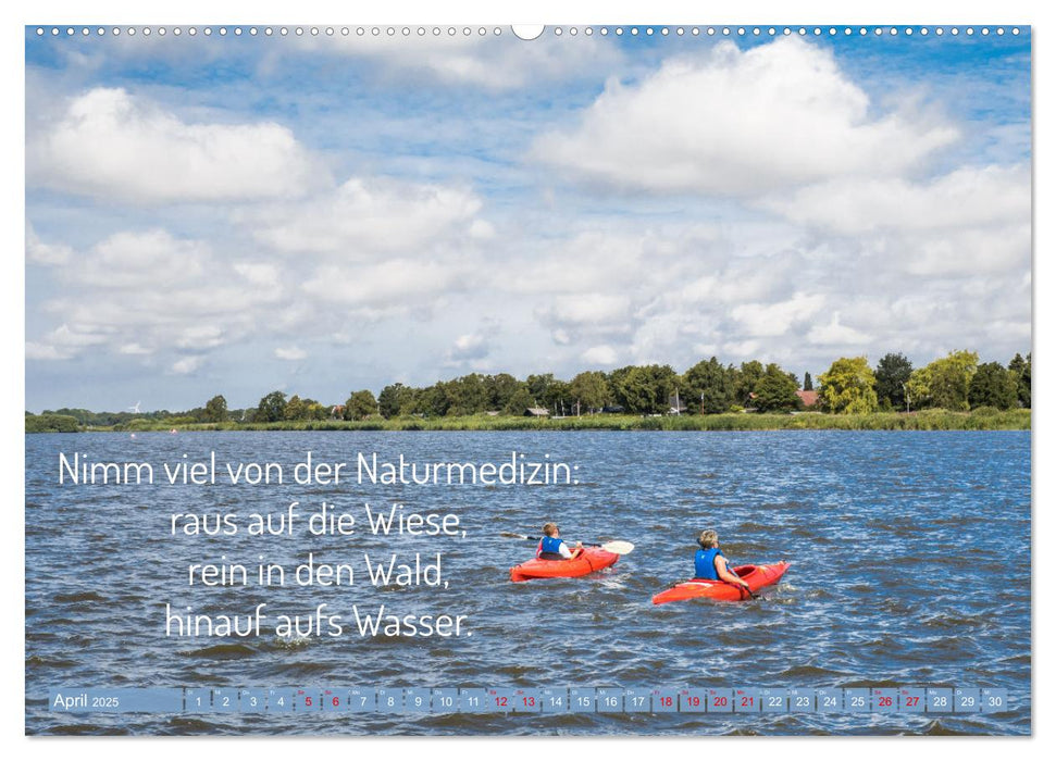 Motivation und Power (CALVENDO Premium Wandkalender 2025)