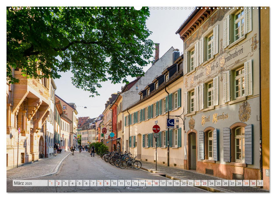 Freiburg im Breisgau Impressionen (CALVENDO Premium Wandkalender 2025)