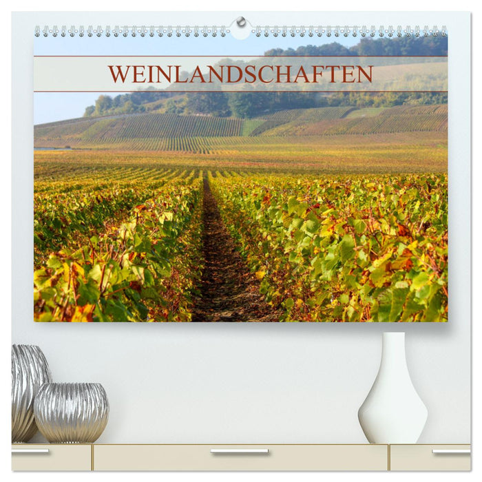 Weinlandschaften (CALVENDO Premium Wandkalender 2025)