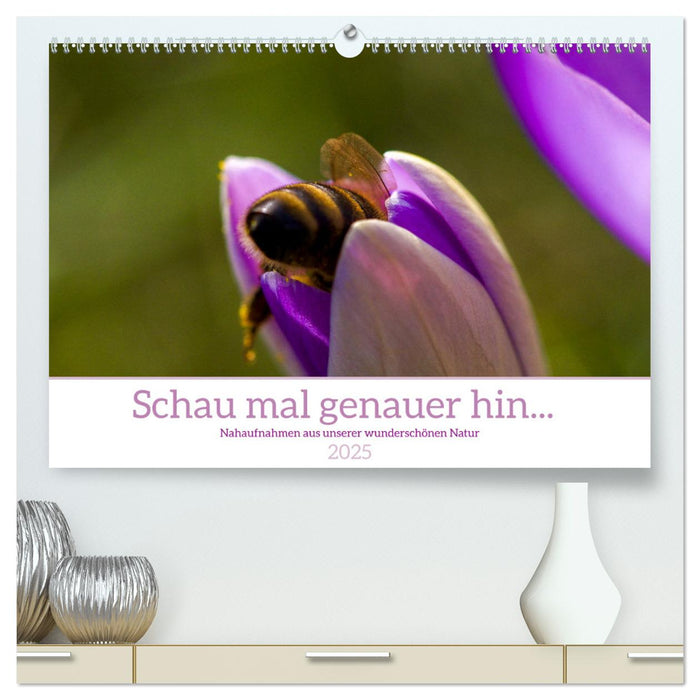 Schau mal genauer hin ... Detailfotografie aus unserer wunderschönen Natur (CALVENDO Premium Wandkalender 2025)