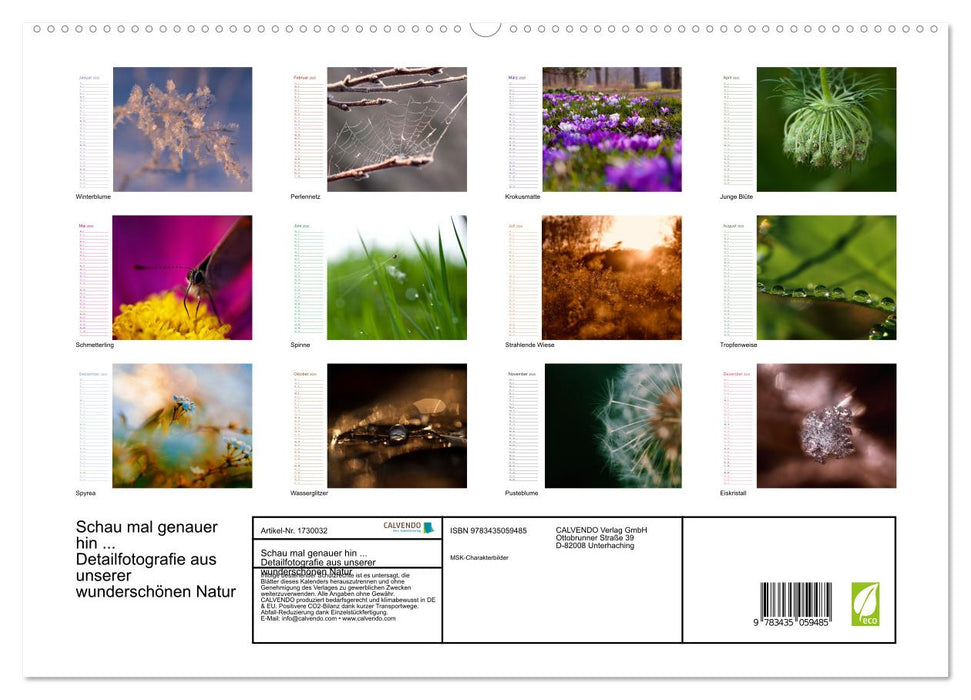 Schau mal genauer hin ... Detailfotografie aus unserer wunderschönen Natur (CALVENDO Premium Wandkalender 2025)