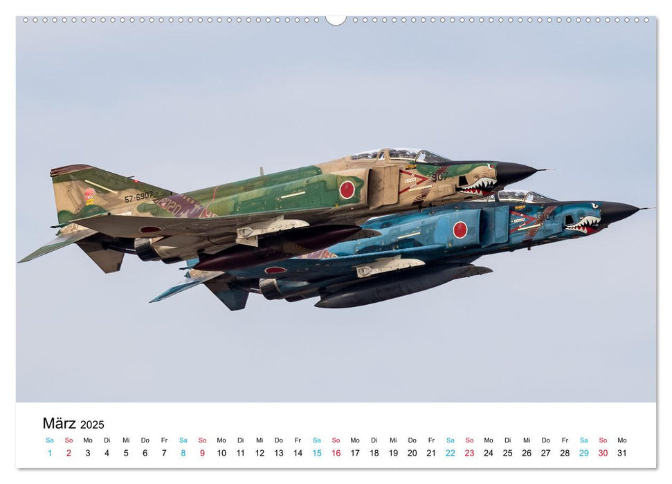 Die letzten McDonnell Douglas F-4 Phantom II (CALVENDO Premium Wandkalender 2025)