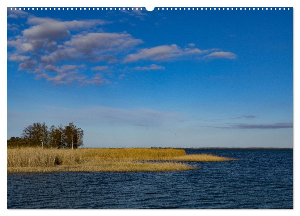 Landschaften auf Fischland-Darß-Zingst (CALVENDO Premium Wandkalender 2025)