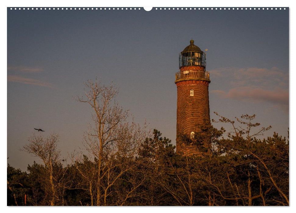 Landschaften auf Fischland-Darß-Zingst (CALVENDO Premium Wandkalender 2025)