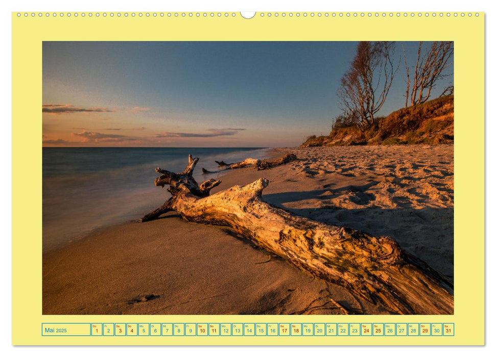 Landschaften auf Fischland-Darß-Zingst (CALVENDO Premium Wandkalender 2025)