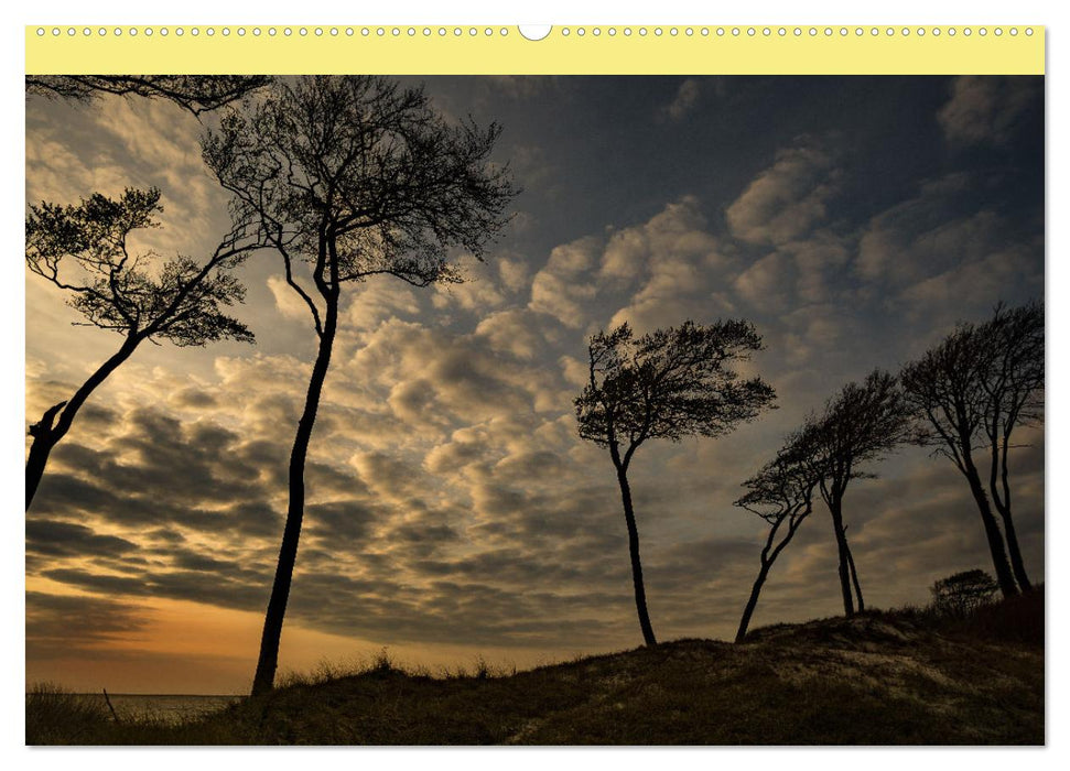 Landschaften auf Fischland-Darß-Zingst (CALVENDO Premium Wandkalender 2025)