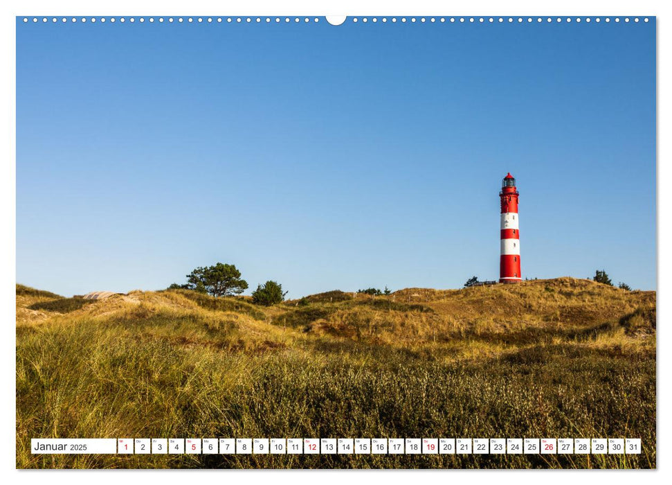 Schleswig-Holstein (CALVENDO Premium Wandkalender 2025)