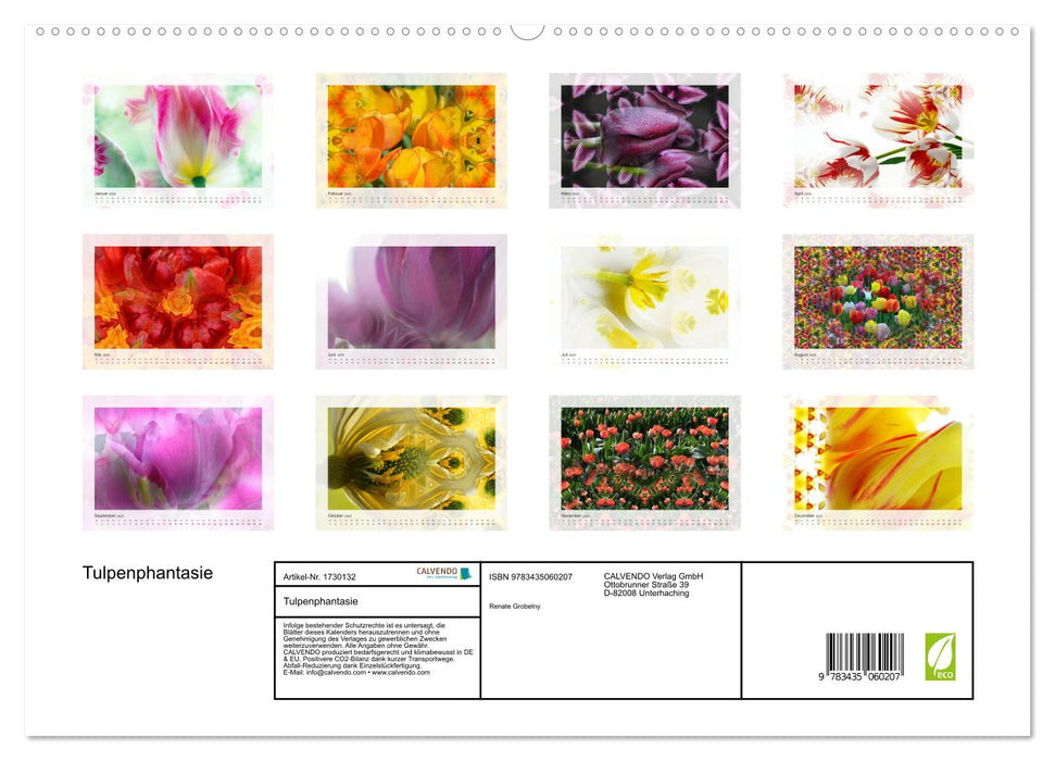 Tulpenphantasie (CALVENDO Premium Wandkalender 2025)