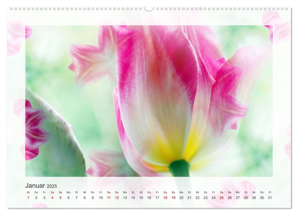 Tulpenphantasie (CALVENDO Premium Wandkalender 2025)