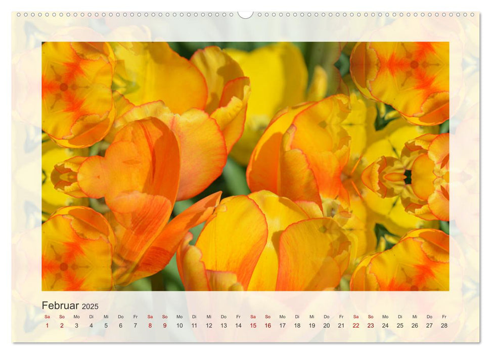 Tulpenphantasie (CALVENDO Premium Wandkalender 2025)