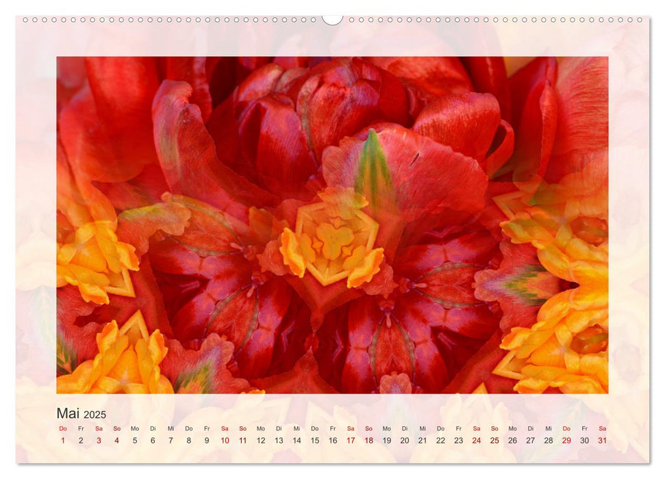 Tulpenphantasie (CALVENDO Premium Wandkalender 2025)