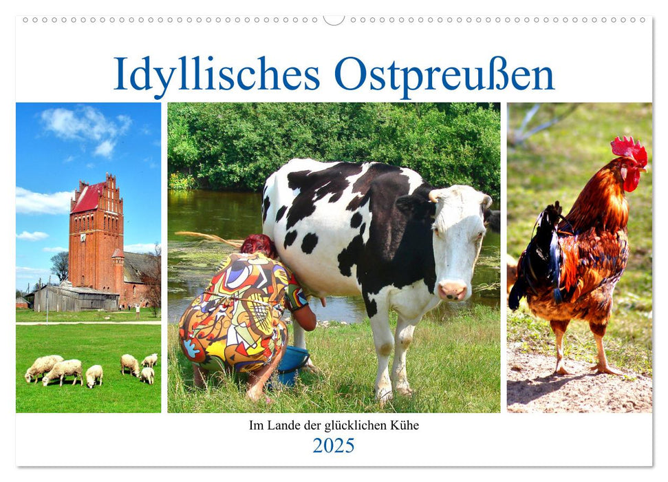 Idyllisches Ostpreußen - Im Lande der glücklichen Kühe (CALVENDO Wandkalender 2025)