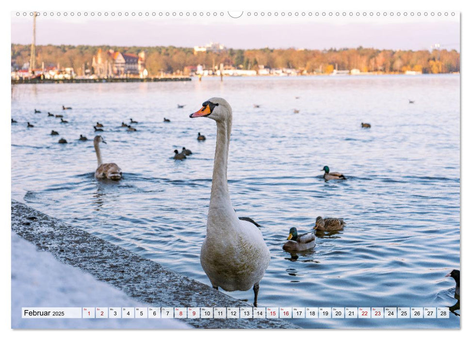 Berlin rund ums Jahr (CALVENDO Premium Wandkalender 2025)