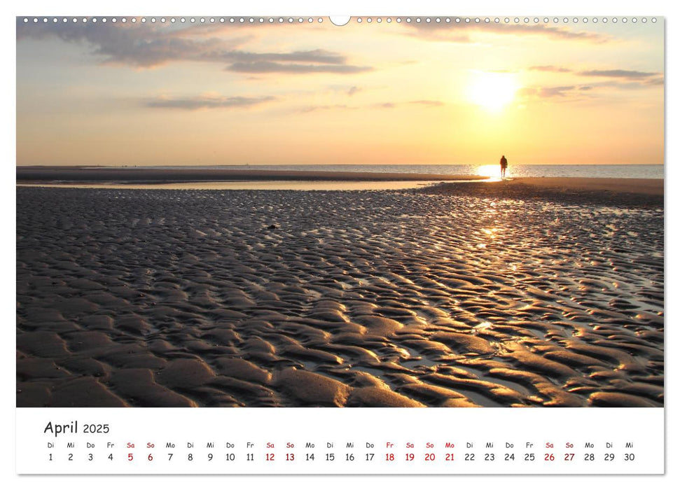 Insel Träumereien (CALVENDO Premium Wandkalender 2025)