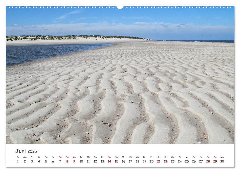 Insel Träumereien (CALVENDO Premium Wandkalender 2025)