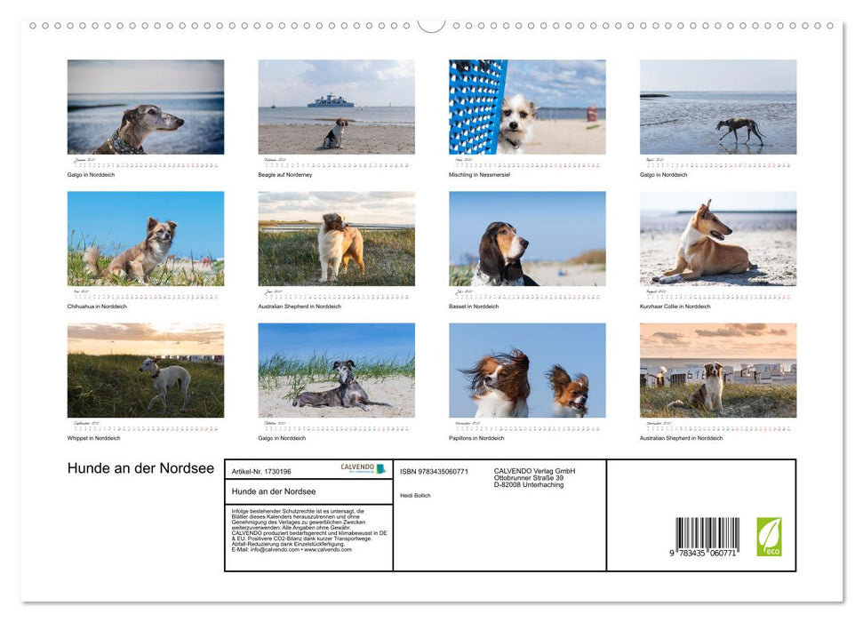 Hunde an der Nordsee (CALVENDO Premium Wandkalender 2025)