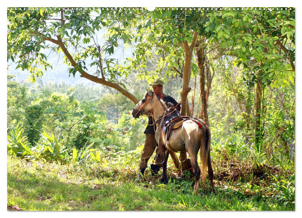 Cuba Cowboys - Wildwest in der Karibik (CALVENDO Premium Wandkalender 2025)