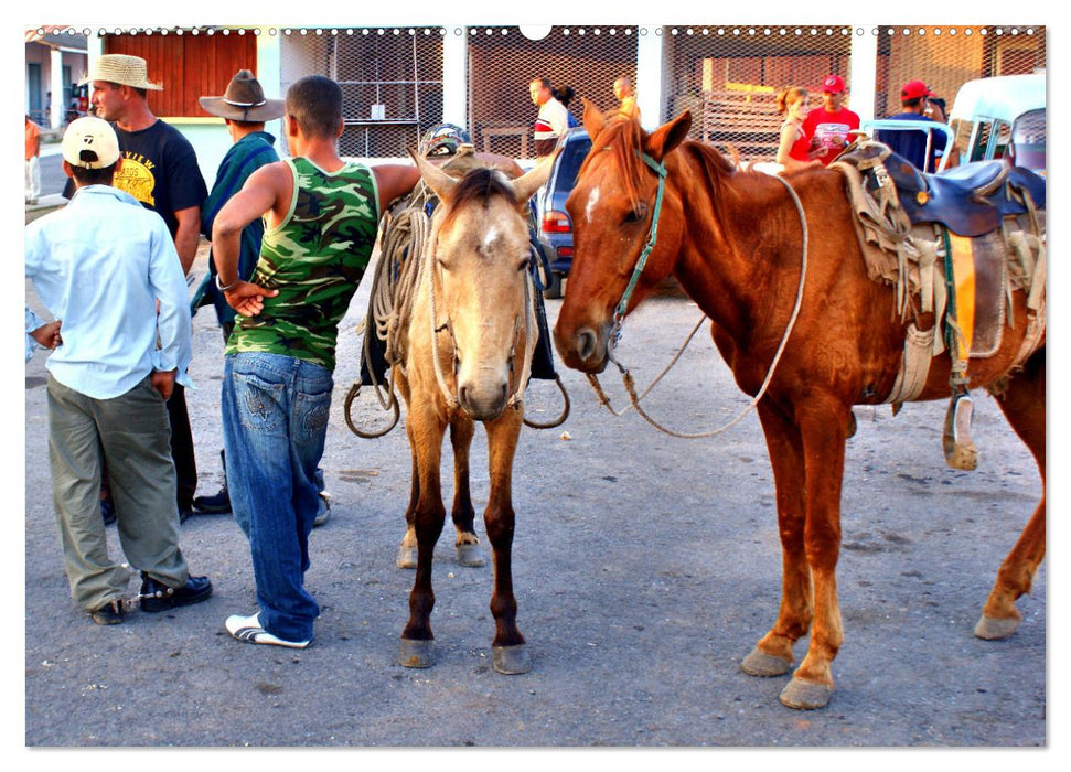 Cuba Cowboys - Wildwest in der Karibik (CALVENDO Premium Wandkalender 2025)