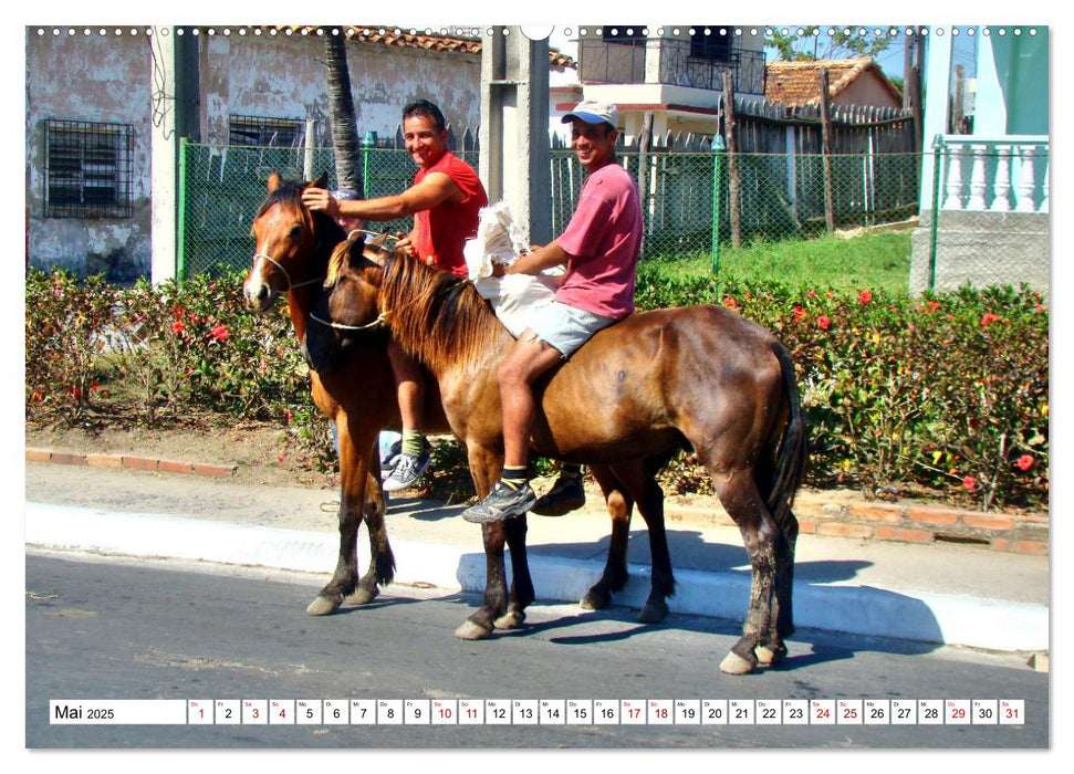 Cuba Cowboys - Wildwest in der Karibik (CALVENDO Premium Wandkalender 2025)