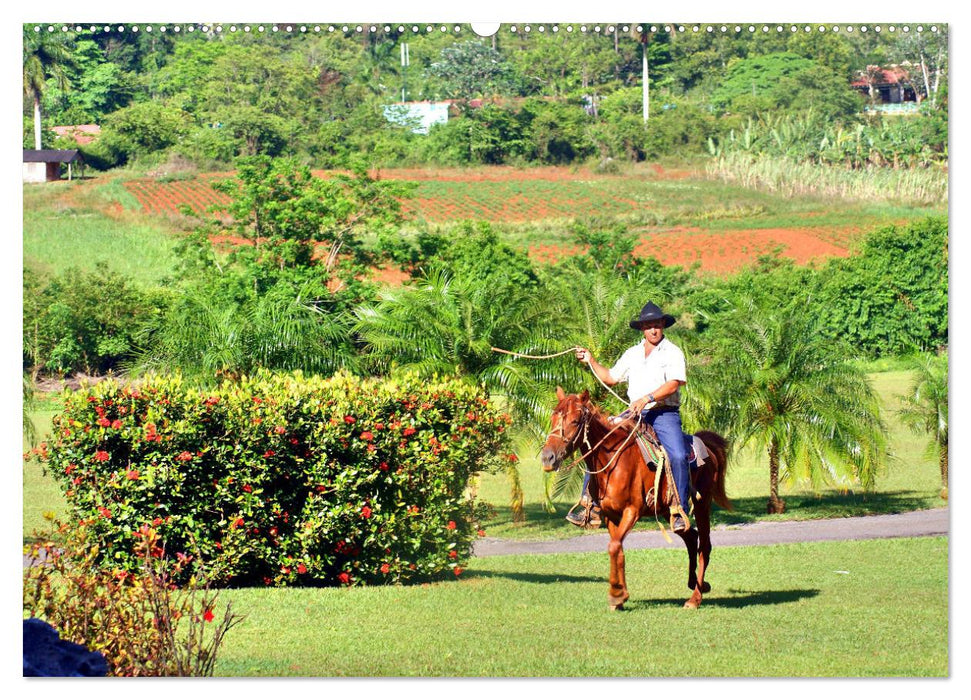 Cuba Cowboys - Wildwest in der Karibik (CALVENDO Premium Wandkalender 2025)