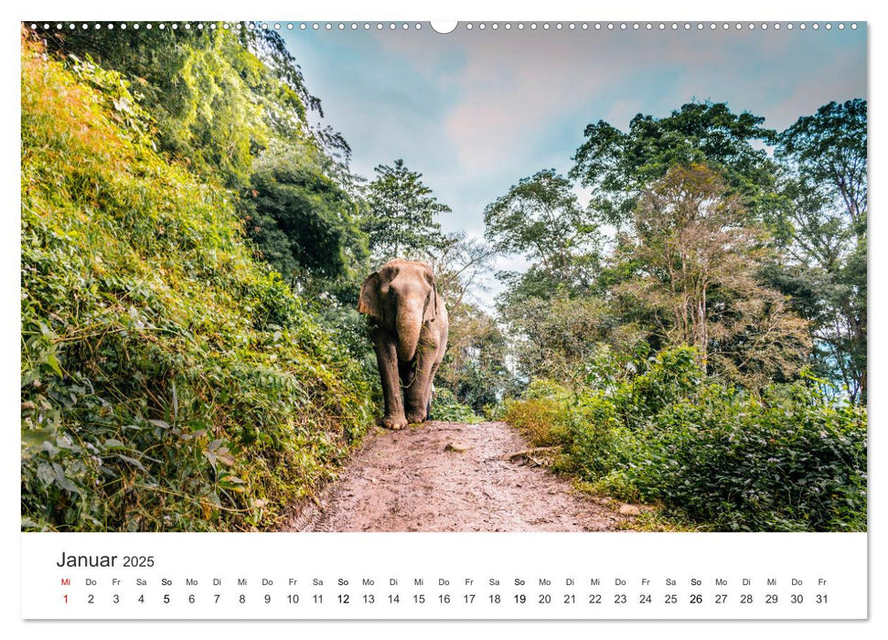 Thailand - Das Land des Lächelns. (CALVENDO Premium Wandkalender 2025)