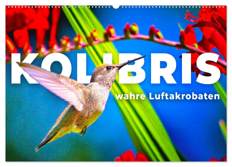 Kolibris - wahre Luftakrobaten (CALVENDO Wandkalender 2025)