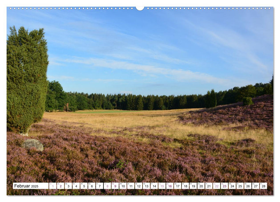 Heidelandschaft im Farbenspiel der Natur (CALVENDO Premium Wandkalender 2025)