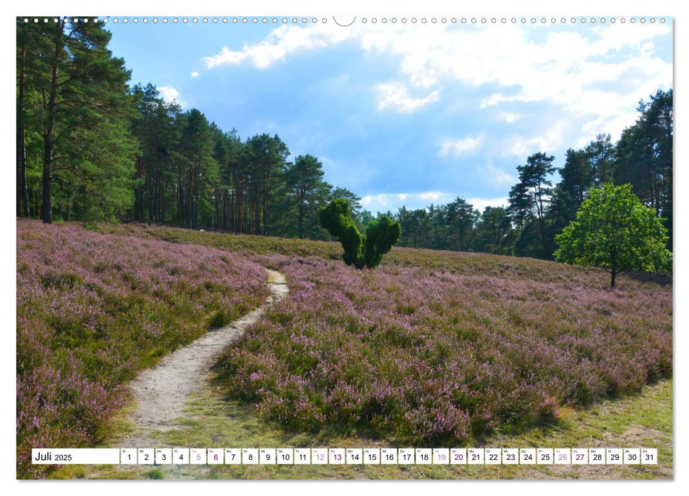 Heidelandschaft im Farbenspiel der Natur (CALVENDO Premium Wandkalender 2025)