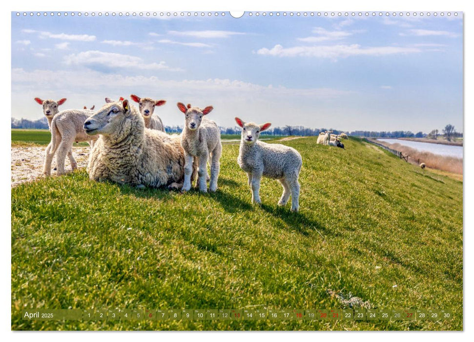 GREETSIEL-LIEBE (CALVENDO Premium Wandkalender 2025)