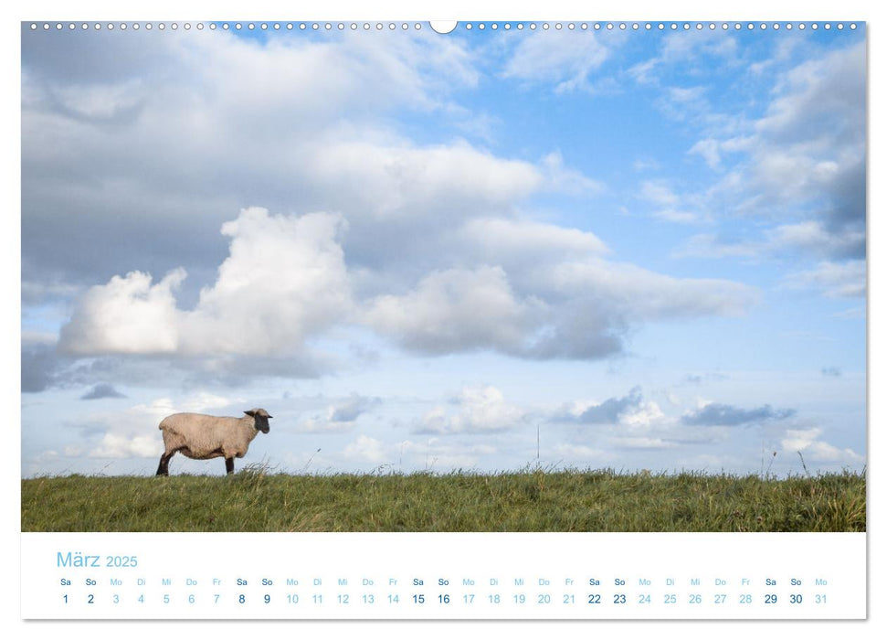 Mehr Nordsee (CALVENDO Premium Wandkalender 2025)