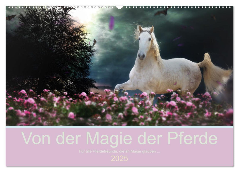 Von der Magie der Pferde (CALVENDO Wandkalender 2025)