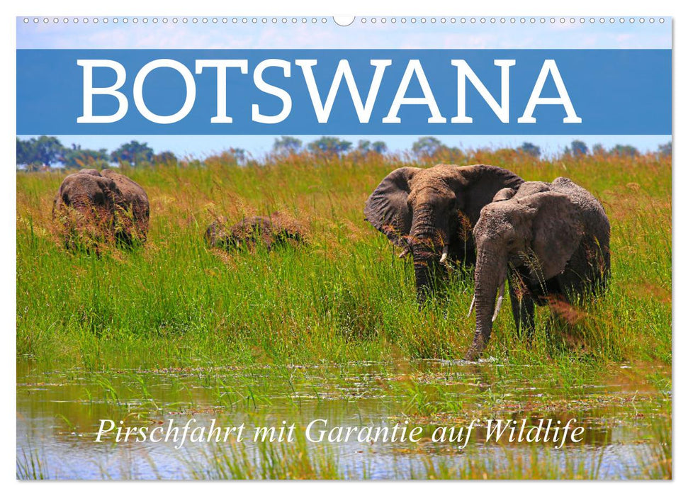 Botswana- Pirschfahrt mit Garantie auf Wildlife (CALVENDO Wandkalender 2025)