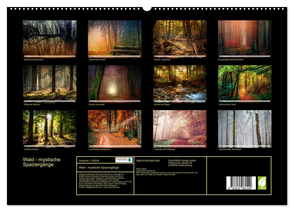 Wald - mystische Spaziergänge (CALVENDO Premium Wandkalender 2025)