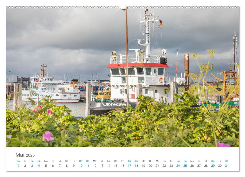 Moin Norden-Norddeich (CALVENDO Premium Wandkalender 2025)