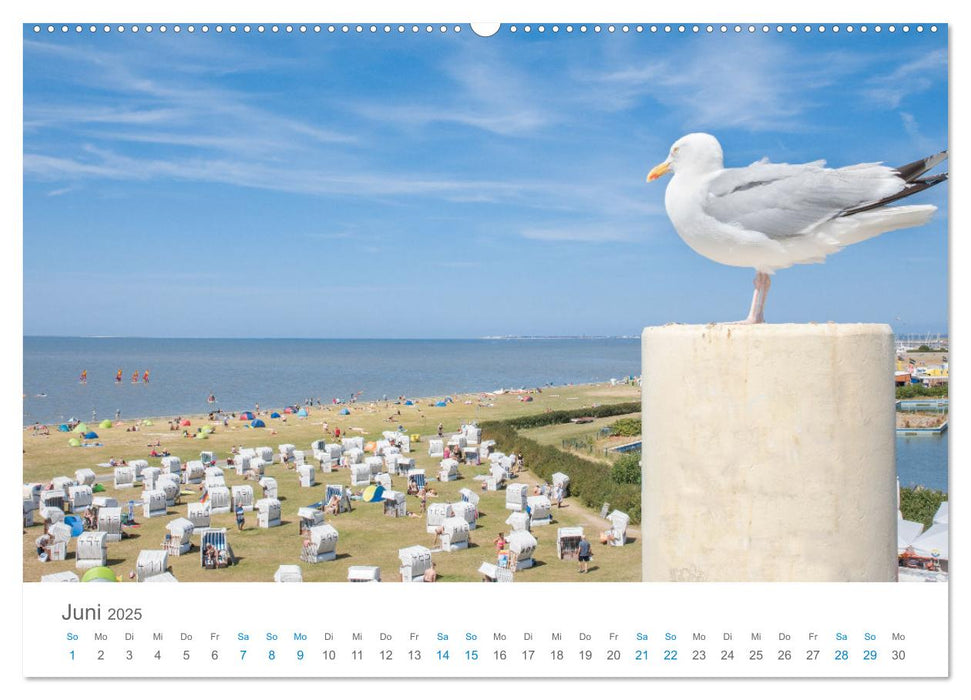 Moin Norden-Norddeich (CALVENDO Premium Wandkalender 2025)