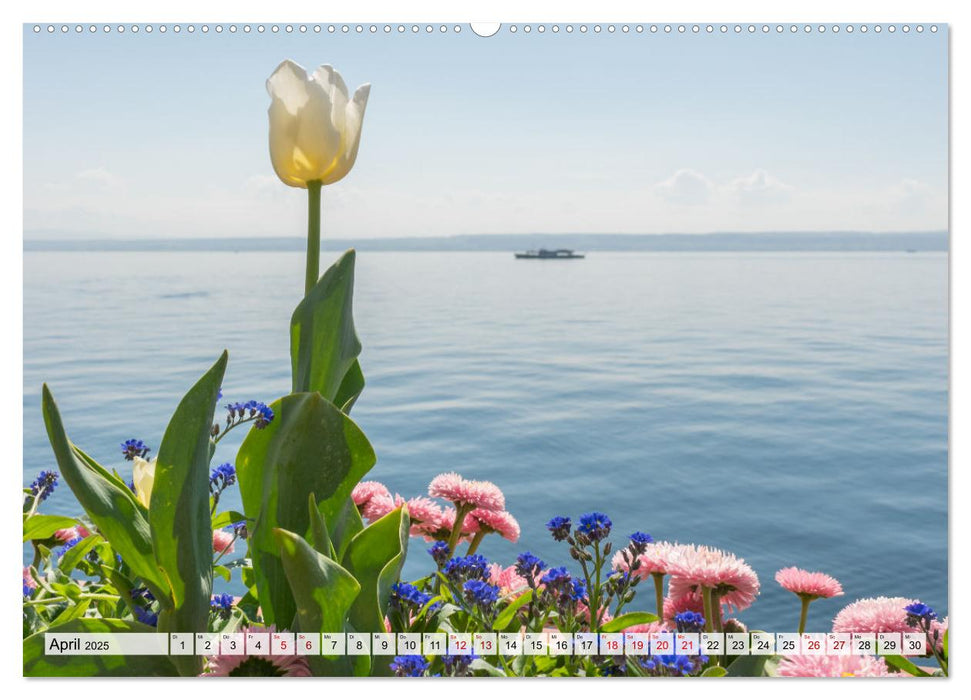 Traumhafter Bodensee (CALVENDO Premium Wandkalender 2025)