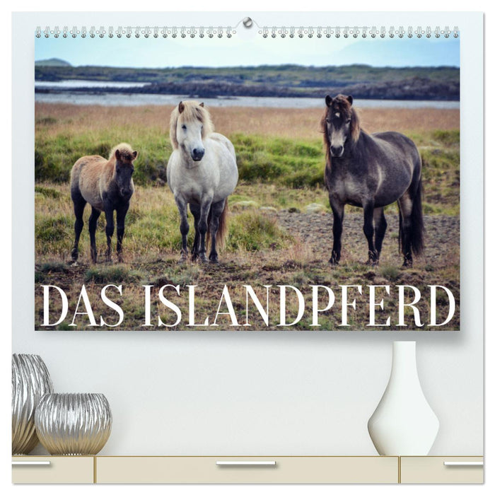 Das Islandpferd (CALVENDO Premium Wandkalender 2025)