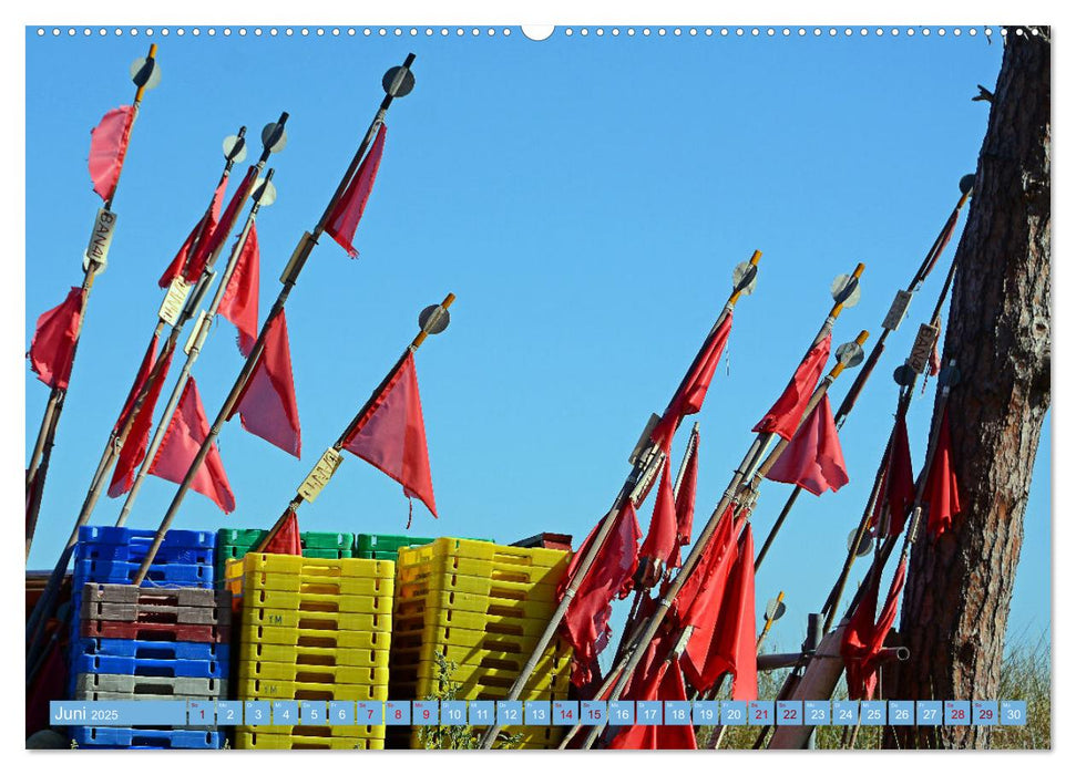 Grüße von Usedom (CALVENDO Premium Wandkalender 2025)